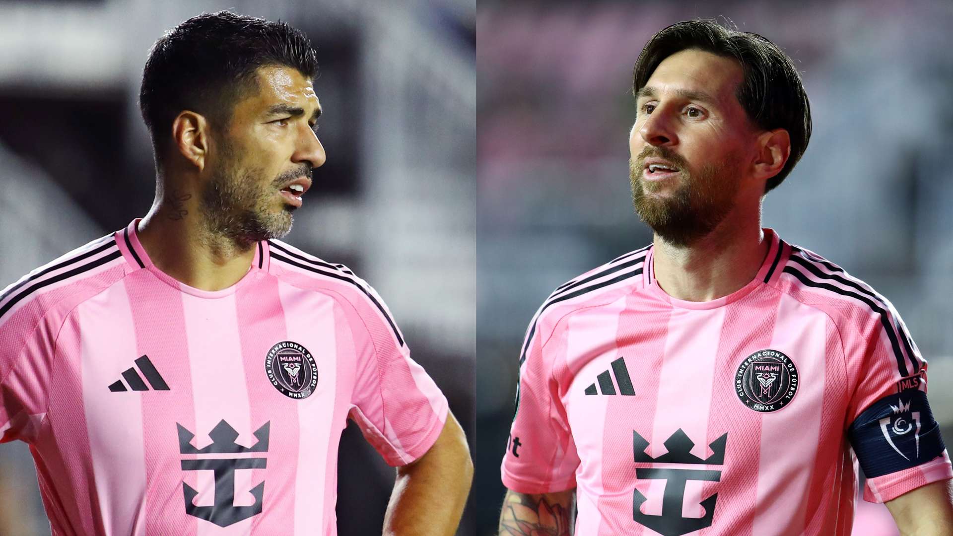 的作用也不 的作用也不