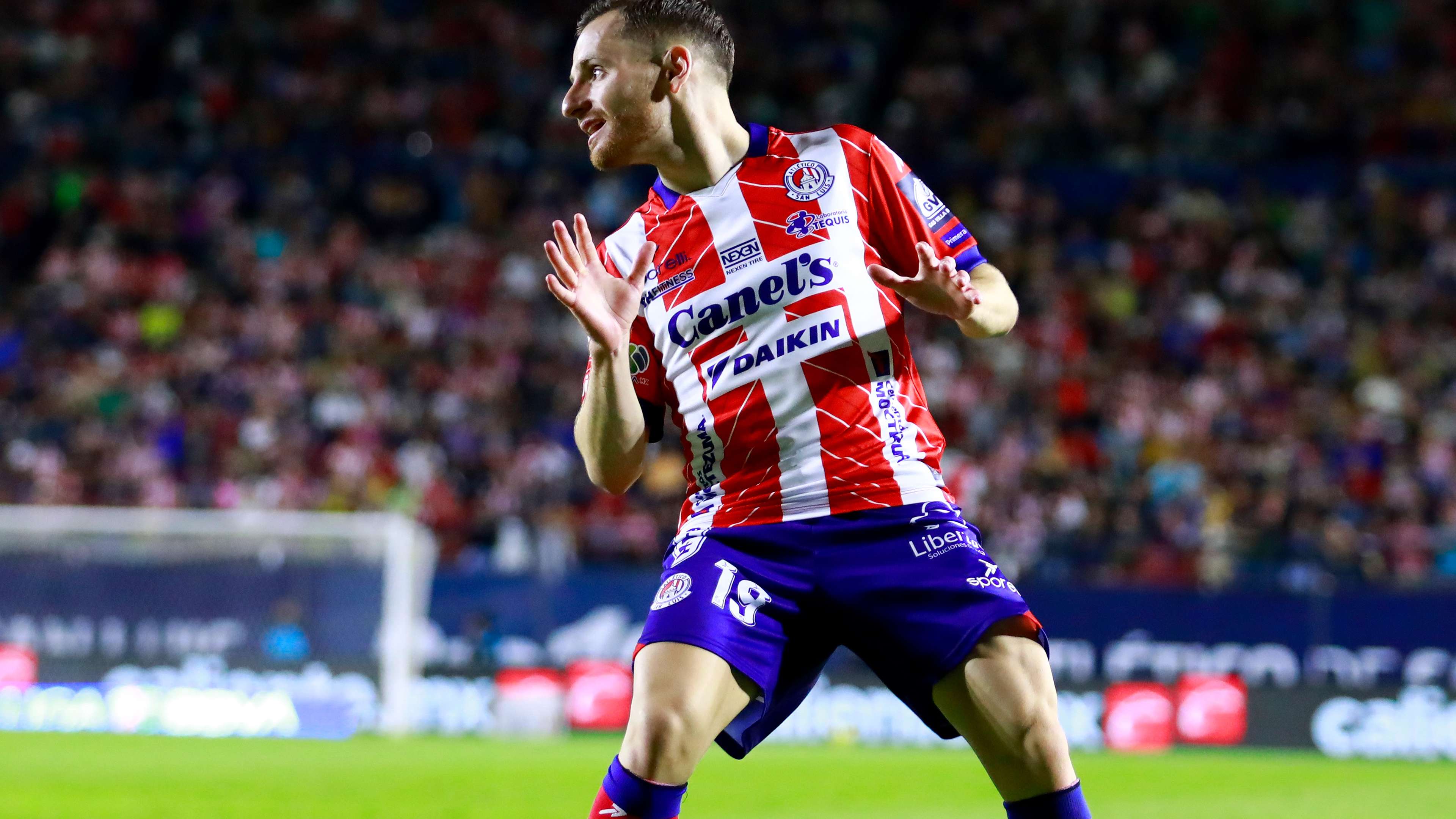 男子甲组城 男子甲组城